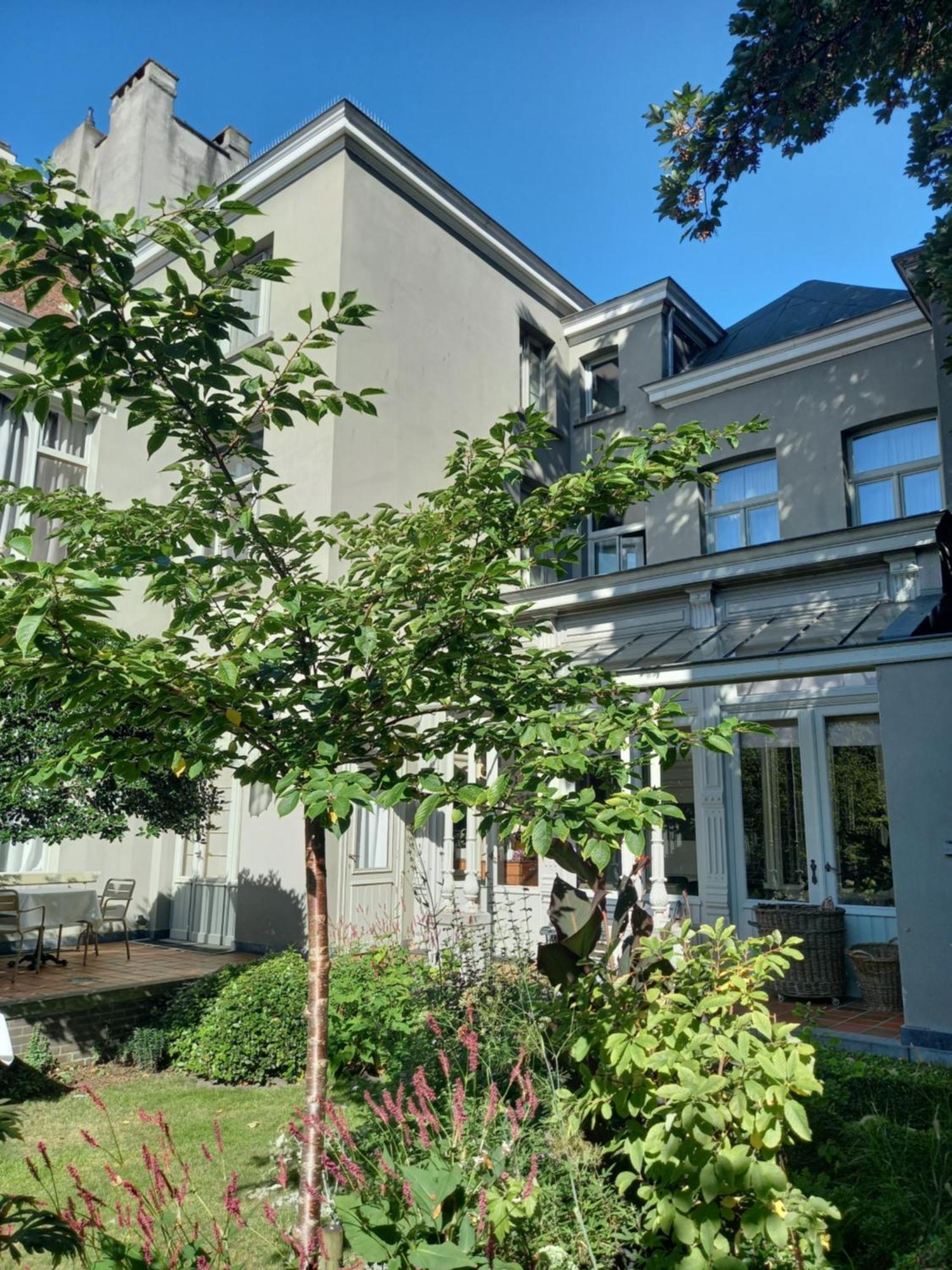 Huis Dujardin Bed&Breakfast Antuérpia Exterior foto