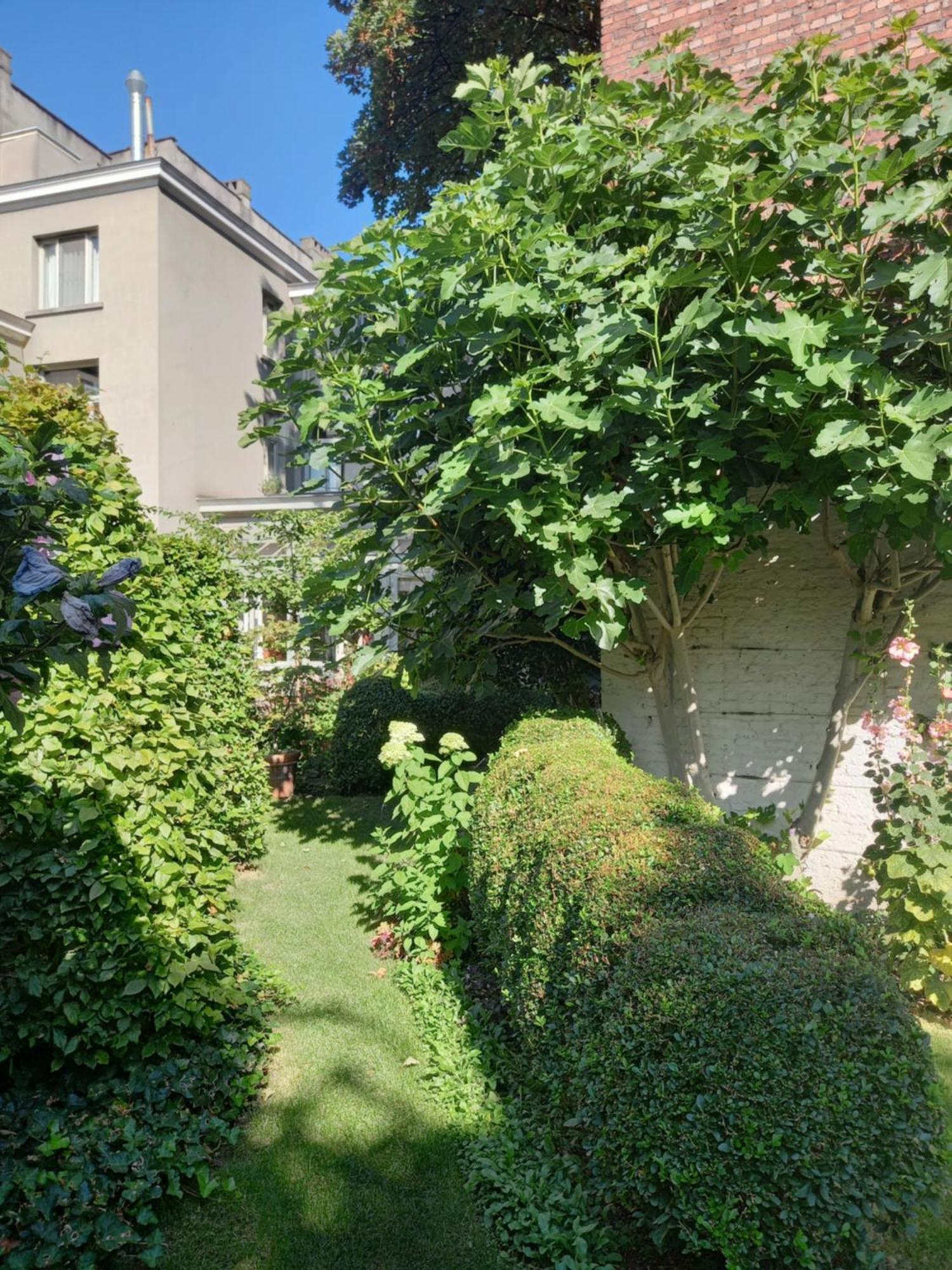 Huis Dujardin Bed&Breakfast Antuérpia Exterior foto