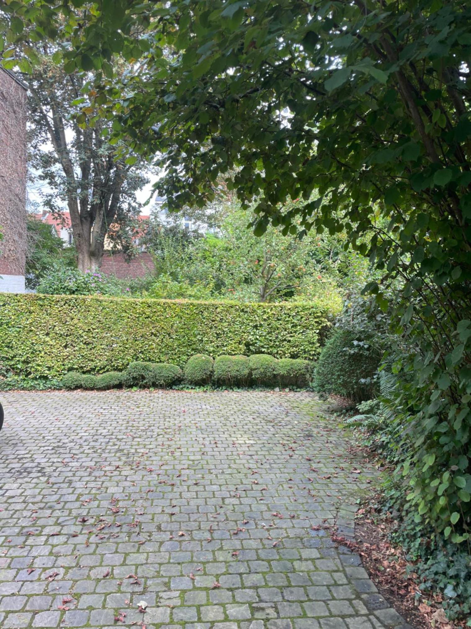 Huis Dujardin Bed&Breakfast Antuérpia Exterior foto